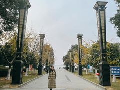-燕鸣岛