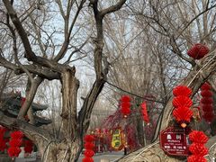 -哈密回王府景区