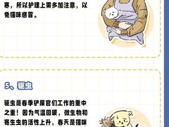 -北京观赏动物医院·24小时大型综合·猫专科·异宠专科