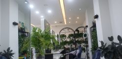 点击看大图 -原素造型