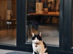 -创艺无限·赵春香微妙艺术馆