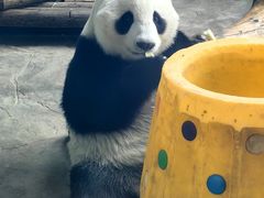 -石家庄市动物园