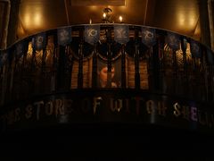 -雪灵魔法世界SHELLY’S TAROT(大良桂畔里店)