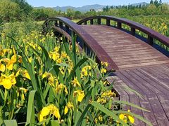 -永定河休闲森林公园