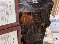 -海口骑楼小吃街