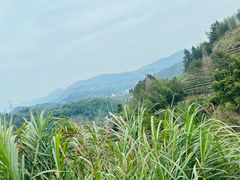 -南靖田螺坑土楼群景区