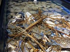 -海天盛宴潮汕蒸汽海鲜高端自助形象店