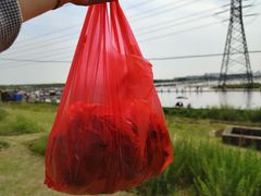 -梁鸿国家湿地公园