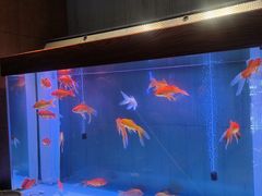 -国人川菜(李家村建东街店)