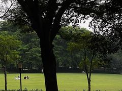-东莞植物园