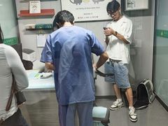 -半岛宠物医院24小时(科华中路店)
