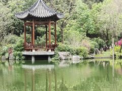 -云溪植物园