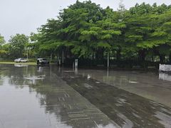 -广西体育中心-游泳馆
