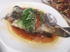清蒸龙胆鱼-明香海鲜酒家(华强北店)