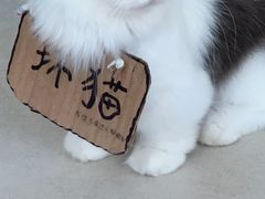 -怪兽屋·羊驼·猫咖·狗咖(俊华广场店)