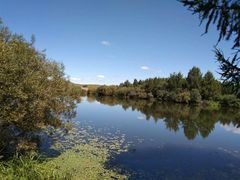 -塞罕坝国家级自然保护区