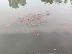 -西安市长乐公园