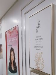 -镁连社·美联社