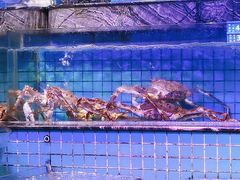 -青蓬海上捞蒸品海鲜城(海岸城店)