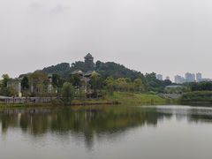 -王借岗森林公园