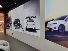 -TESLA 特斯拉(郑州正弘城体验店)