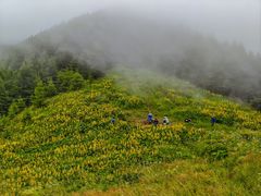 -灵山
