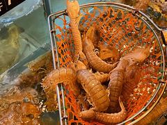 -阿马蛋汤·宁波小海鲜(总店)