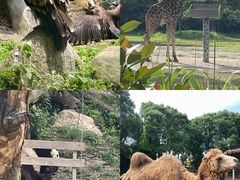 -宁波野生动物园
