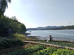-天目湖山水园
