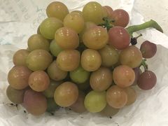 -马陆小张葡萄园农家乐