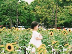 -二沙岛艺术公园