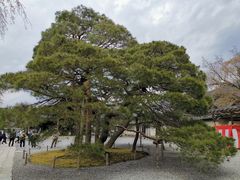 -醍醐寺