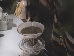-SAFARI COFFEE