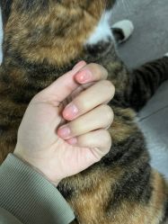 -研美·ym 美甲美睫