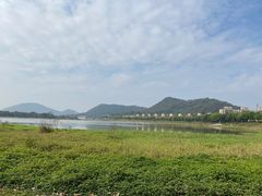 -风云岭森林公园