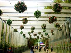 -深圳国际园林花卉博览园