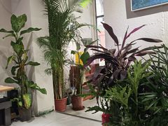 -有肉食·虎九闽菜(798艺术区店)