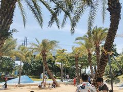 -宝安西湾红树林湿地公园