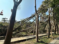 -同里国家湿地公园