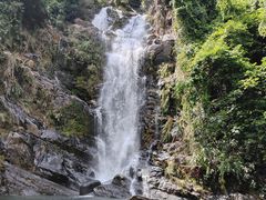 -鼎湖山风景区