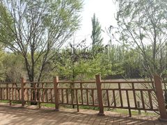 -伊犁河景区