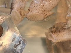 -八闽饭店闽南小镇(铁西店)