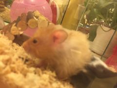 -龙猫仔乐园(惠福东路店)