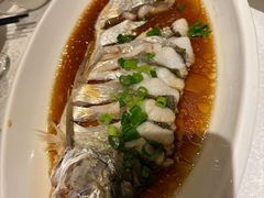 -金美华轩(东方路齐鲁店)