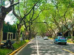 -一尺花园(安和花园店)