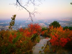 -鬼笑石后山停车场