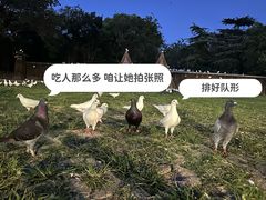 -上海野生动物园