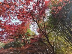 -采石矶景区