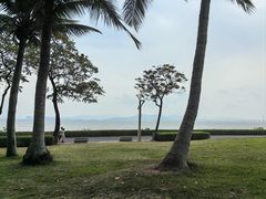 -深圳湾公园(南山区)