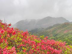 -大围山国家森林公园